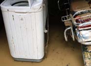 ���ݽֵ�һƬ�Ǽ�