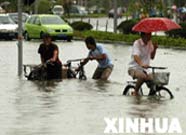 ���Ͻ�ͷһƬ����