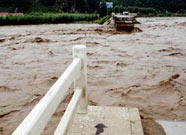 ����������δ���̮��