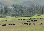 �������ԭ���续��һ��