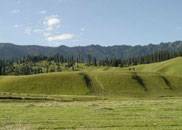 �������ԭ���续������