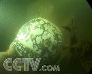 ��������ͼ���Ĵ�̳ 