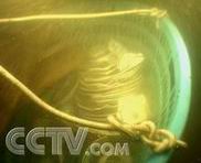 ���̴�����Ƭ