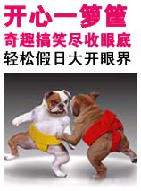 ���ھͿ�ʼ��Ц��